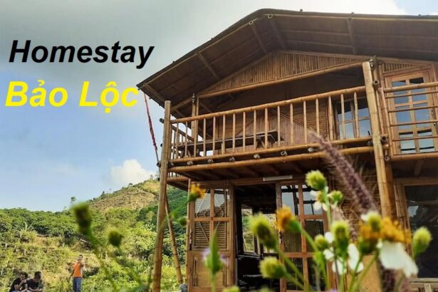 Homestay Bảo Lộc giá rẻ, thuê homestay view đẹp săn mây.