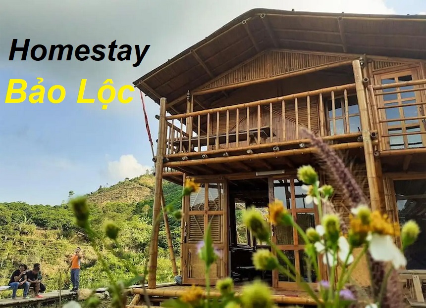 Homestay Bảo Lộc giá rẻ, thuê homestay view đẹp săn mây.