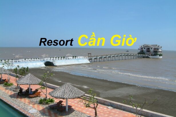 Địa chỉ resort Cần Giờ chất lượng cao cấp, giá cả phải chăng