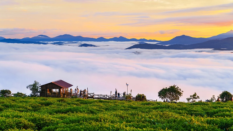 Săn mây tại đồi chè Cầu Đất là một hoạt động không nên bỏ lỡ khi đến đây.