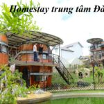 Các homestay Đà Lạt gần trung tâm dành cho gia đình, cặp đôi.