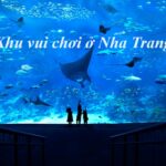 Khu vui chơi Nha Trang cho trẻ khu vui chơi trẻ em Nha Trang.