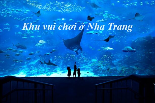 Khu vui chơi Nha Trang cho trẻ khu vui chơi trẻ em Nha Trang.