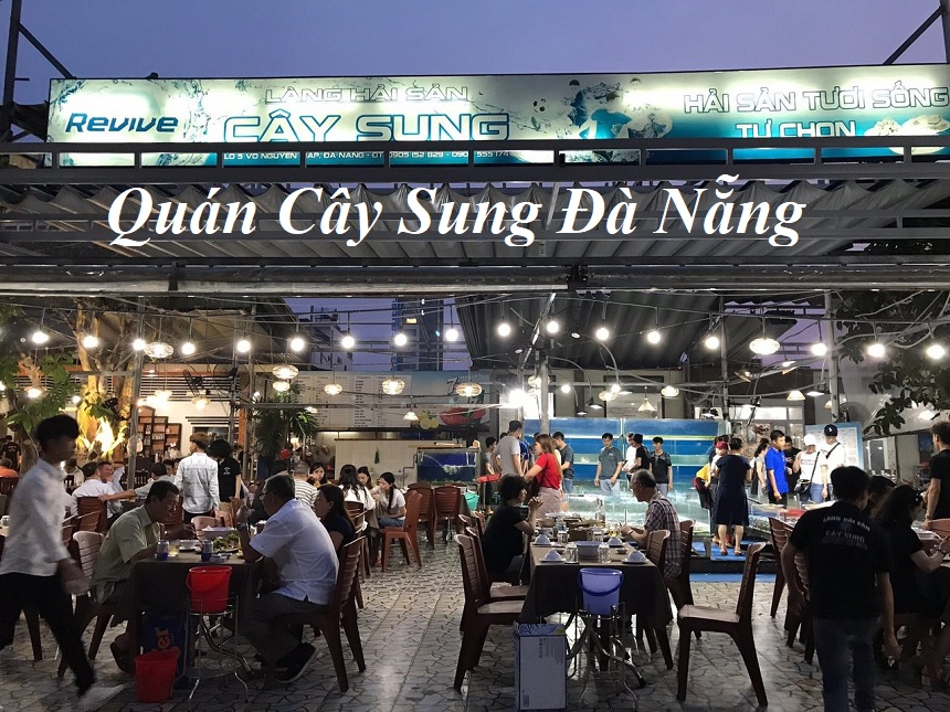 Review Quán Cây Sung Đà Nẵng, quán nhậu Cây Sung ở Đà Nẵng.