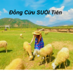 Đồng Cừu Suối Tiên giá vé bao nhiêu