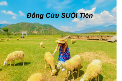 Đồng Cừu Suối Tiên giá vé bao nhiêu