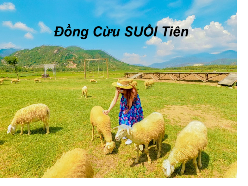 Đồng Cừu Suối Tiên giá vé bao nhiêu