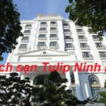 Review khách sạn Tulip Ninh Bình, đia chỉ Tulip Hotel ở đâu?