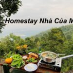 Nhà Của Mây