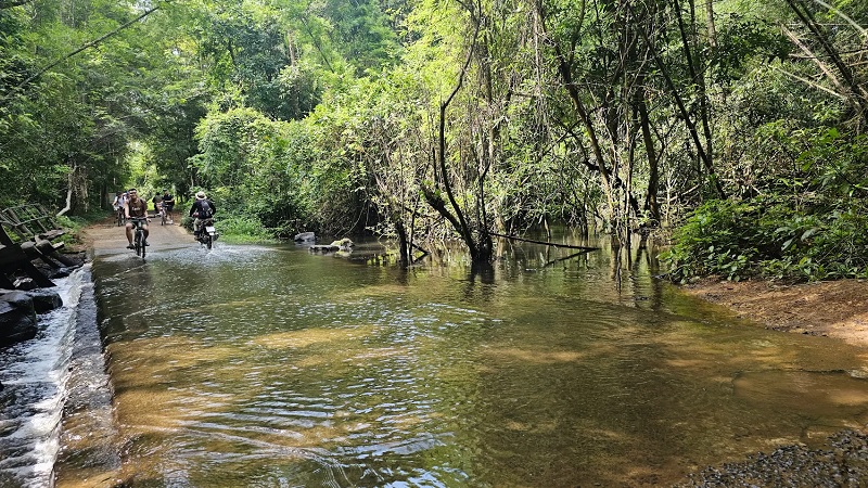 Vườn Quốc gia Nam Cát Tiên.