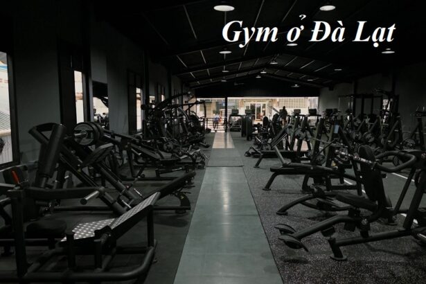 Phòng gym Đà Lạt hiện đại, địa chỉ tập gym ở Đà Lạt giá rẻ.