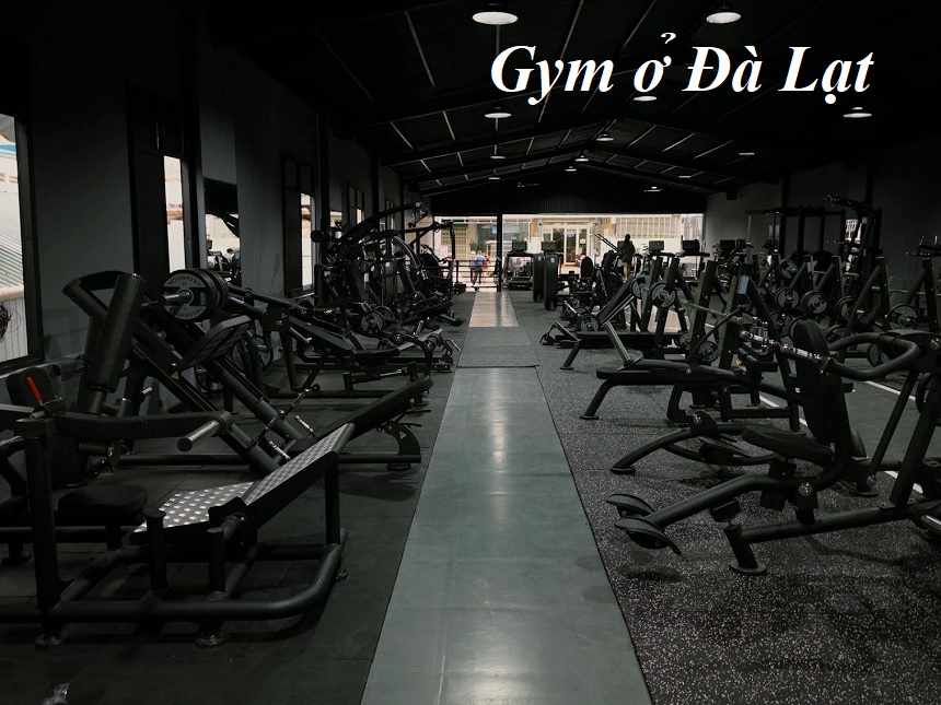 Phòng gym Đà Lạt hiện đại, địa chỉ tập gym ở Đà Lạt giá rẻ.