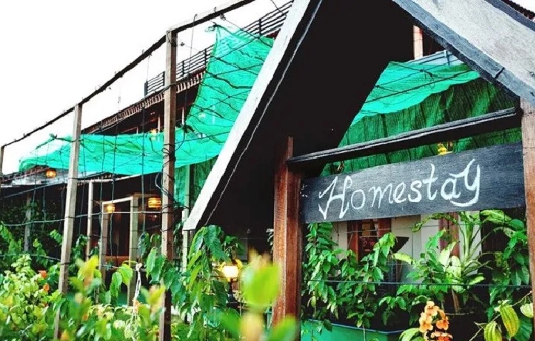 Eco-bonsai Homestay.