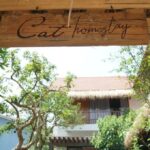 Review Cat Homestay Huế, địa chỉ homestay giá rẻ ở Huế.