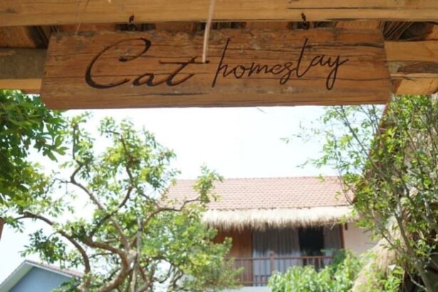 Review Cat Homestay Huế, địa chỉ homestay giá rẻ ở Huế.