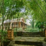 Rùa House ở đâu? Review homestay ngoại thành Hà Nội.