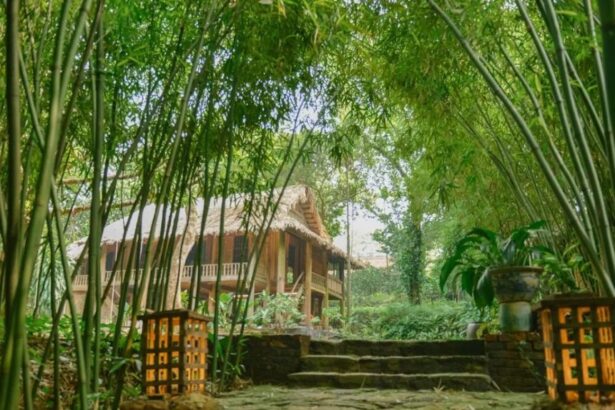 Rùa House ở đâu? Review homestay ngoại thành Hà Nội.