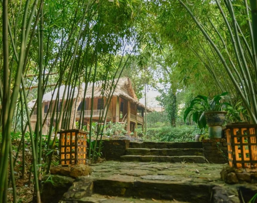 Rùa House ở đâu? Review homestay ngoại thành Hà Nội.