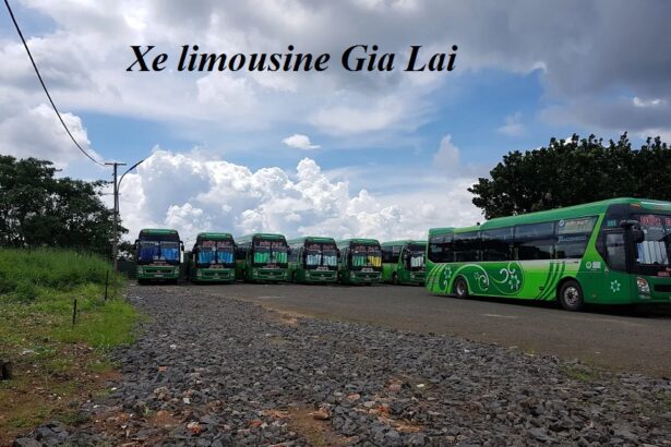 Các hãng xe limousine Gia Lai tốc hành, đúng giờ và an toàn.