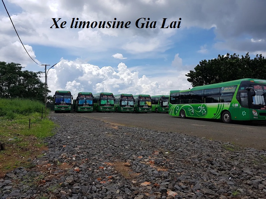 Các hãng xe limousine Gia Lai tốc hành, đúng giờ và an toàn.